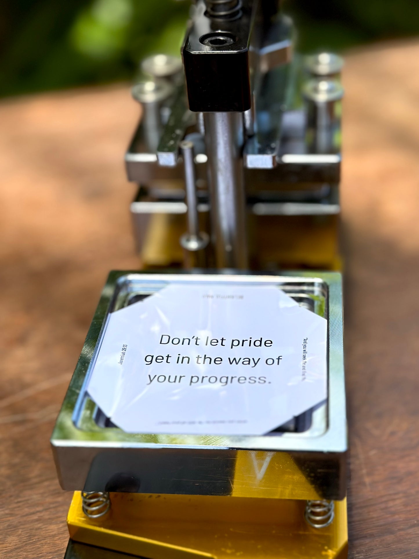 Pride & Progress Magnet