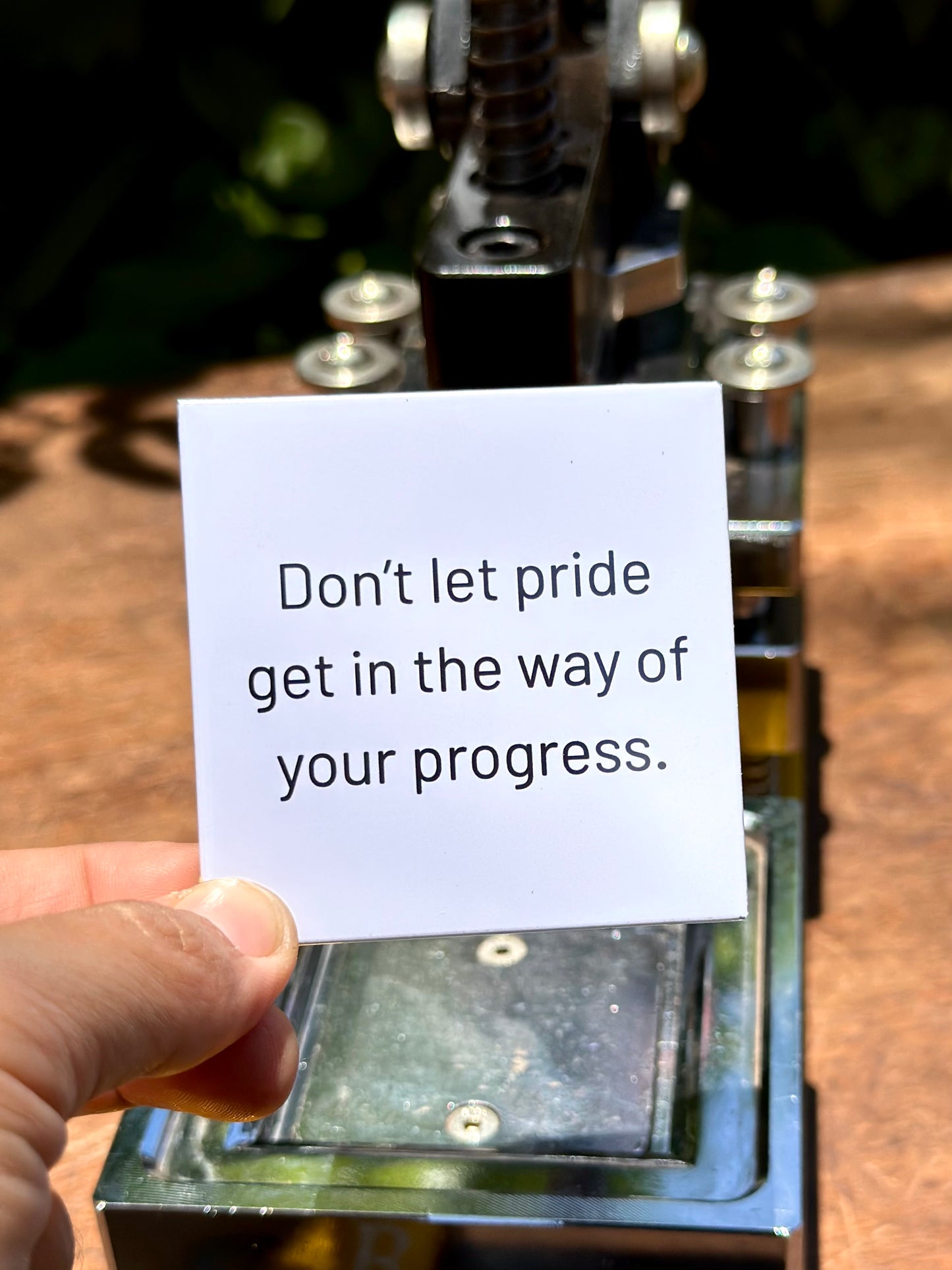 Pride & Progress Magnet