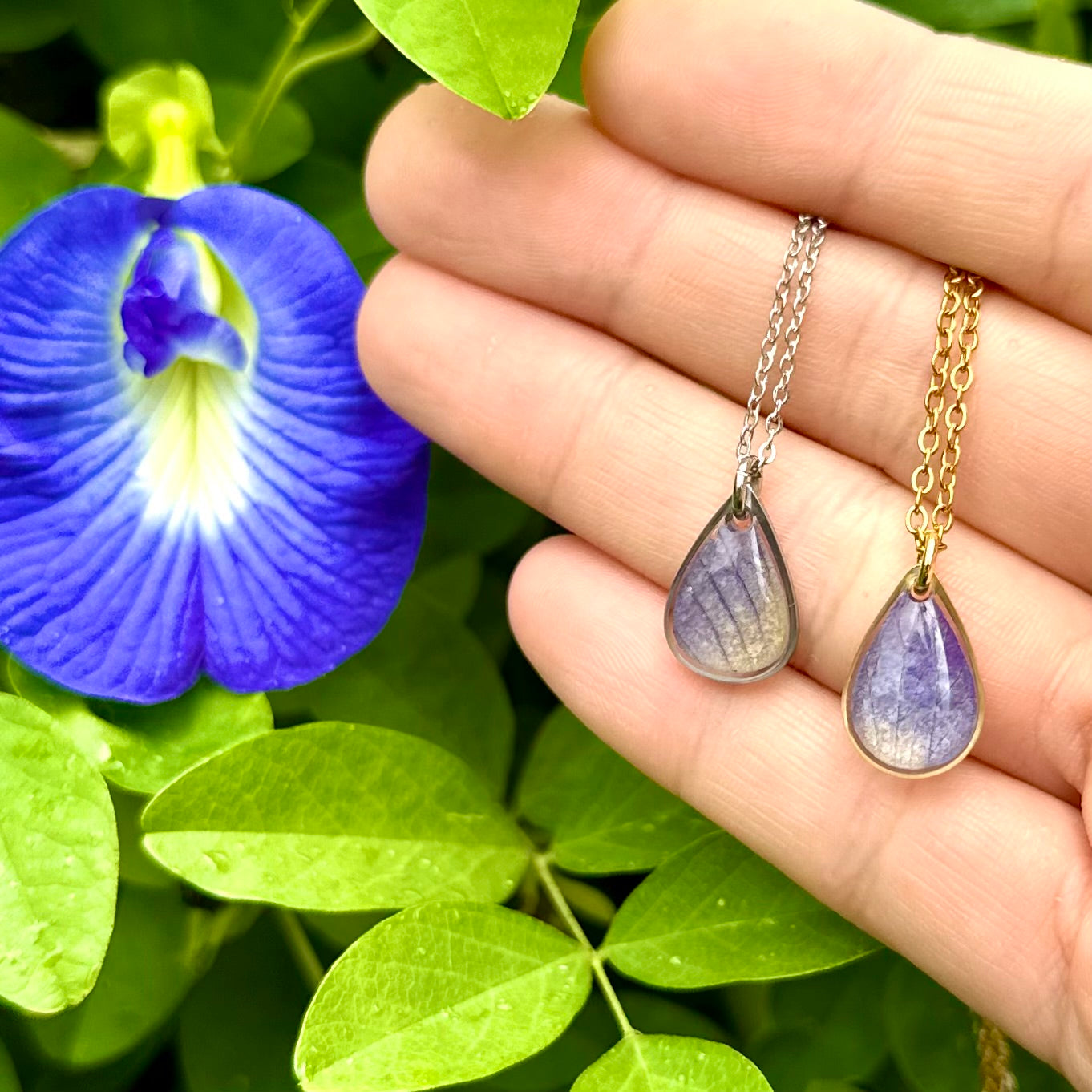 Butterfly Pea Drop