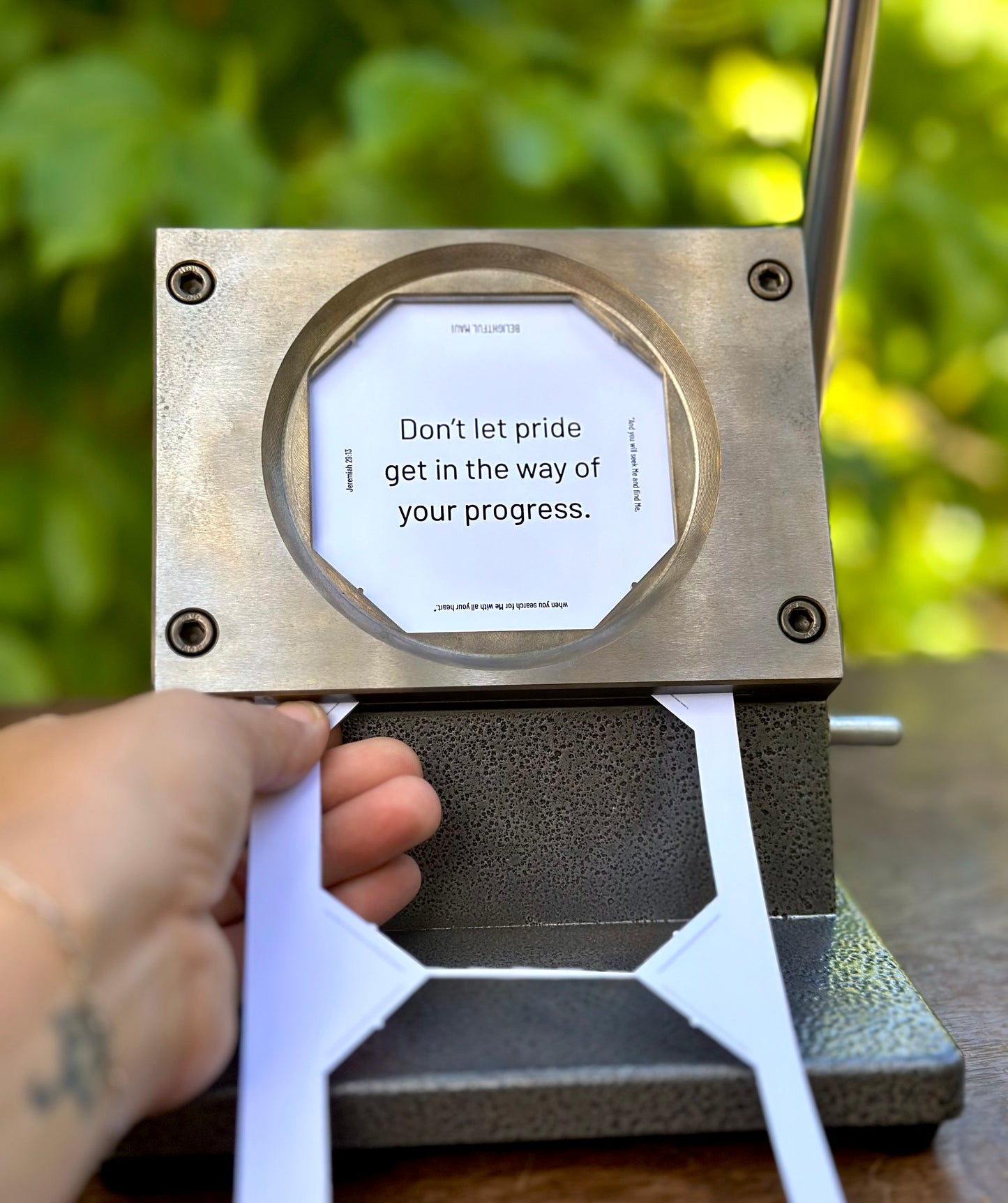 Pride & Progress Magnet