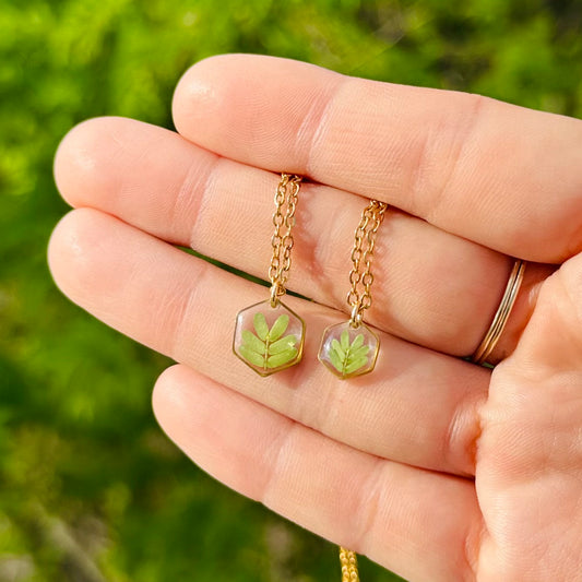 Golden Kiawe Hexagon